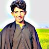 awaisgondal8668