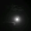 gh_deer6