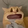 vng.mu.th
