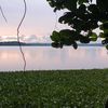 lahiru.akalanka7