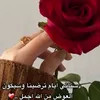 user9291361101430