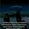user4233218601818