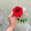 mstmashiyaakter