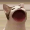 trawmt_