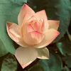 tolabebo0
