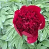 mary_090304