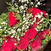 pooja_r06