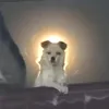 cubasoc4la