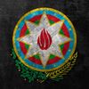 qasmvh.11