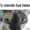 mateohormo25
