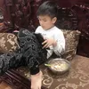 iuvkhngan