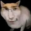 oi_mama0