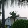 charlottelay20