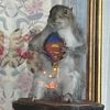 bad.taxidermy911