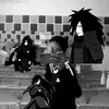 bakifernades