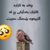 bedar880