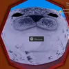 profffi20