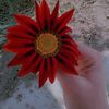 samar.elgaml4