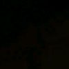 omar_14301