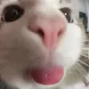 benje.1233