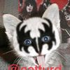 mykatz33