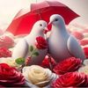 user81257971712171