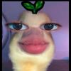 darly_cortesss