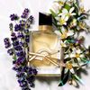 parfum.aura_