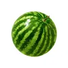 watermelon_nichi