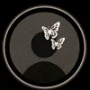 inaismail95
