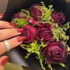يوميات طالبة قانون🖤⚖️