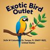 Exotic pet outlet