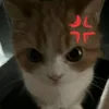 ajunkiel2