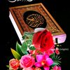 user8848385800604