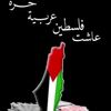 user7763166214630