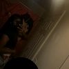 mya2vaild_1