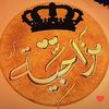 user2676106600243