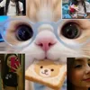 webvick12