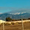 alejanda2601