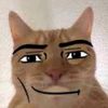 wewokdewokly