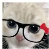 najwa.zahida_45
