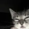doraaaaamka001