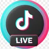 tiktoklivepoli