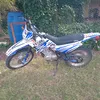 coli4643
