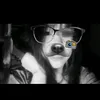hathi.baolan