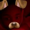 collin_lawrence3