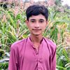 talha.abbsa