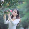 sathya4050