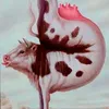 broken_cowrik