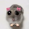 abigail_py4